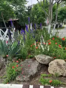 Белый Берег - 49