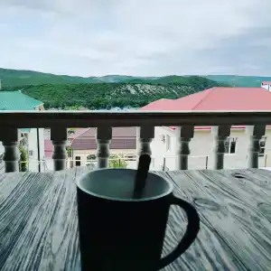 Ласточкино гнездо - 17