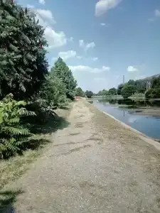 Лотос - 3