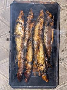 АзовХолидей - 57