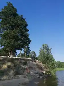 Олимп - 47