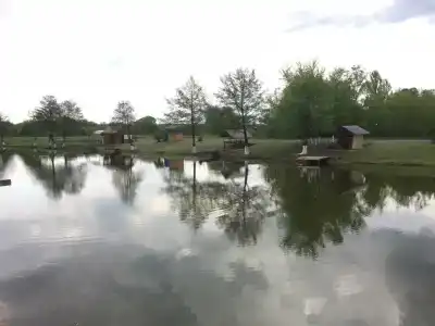 Лотос - 0