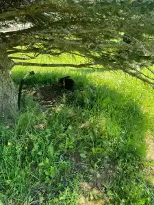 Вазуза Кантри Клаб - 46