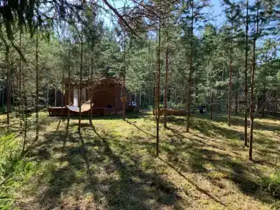 Дом Китов - 18