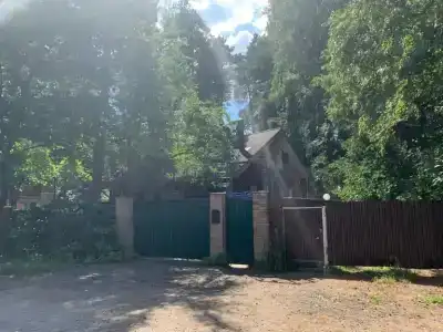 в Сосновом бору - 3