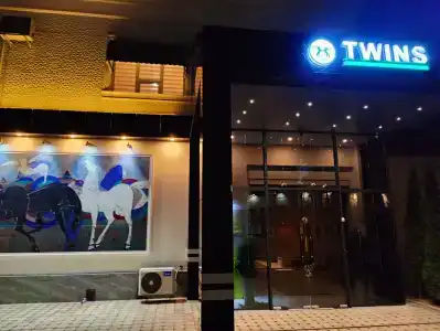 Twins - 2