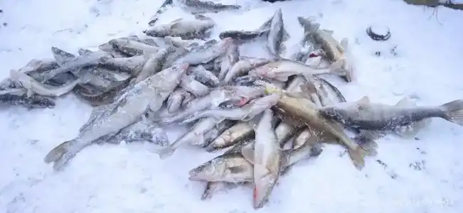 База Партизан на хуторе Громов - 15