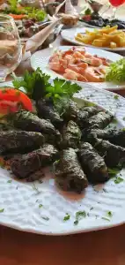 Фаворит - 21