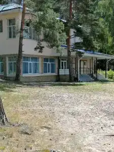 Чайка - 29
