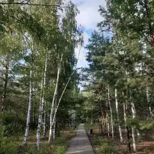 Атлашкино - 1