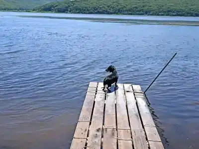 Дом отдыха - 3