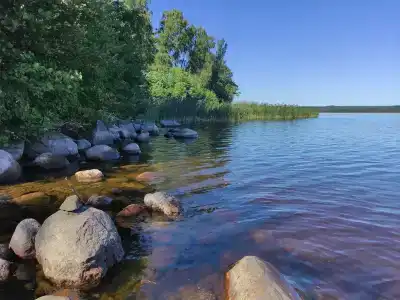 Парус - 8