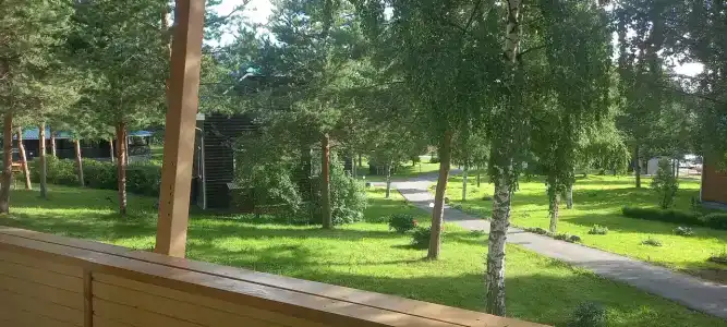 Черные камни - 91