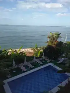 Фламинго - 88