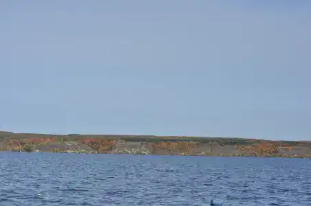 Остров - 11