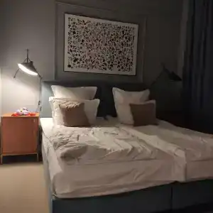 Новый свет - 44