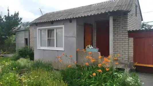 Эльвира - 0