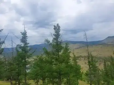 Шида - 20