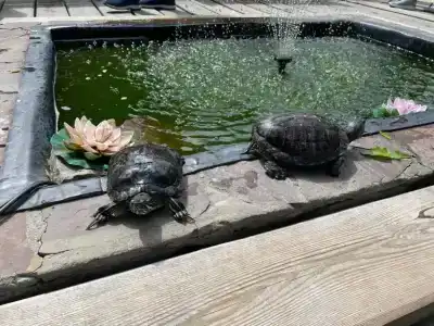 Крестовая Падь - 30