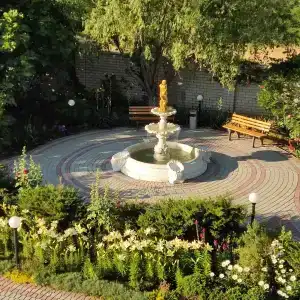 Альбатрос - 6