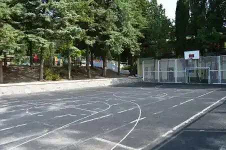Кипарис - 41
