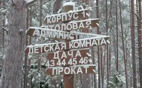 Кусторка - 11
