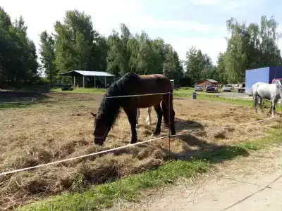 Храброво - 22