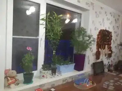 Гостиный дом - 93