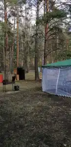Домик в лесу - 82