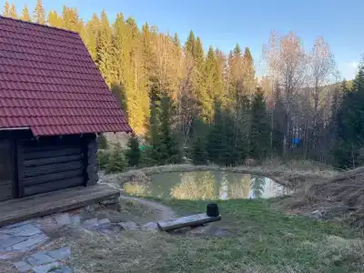 Хутор Нестора - 2