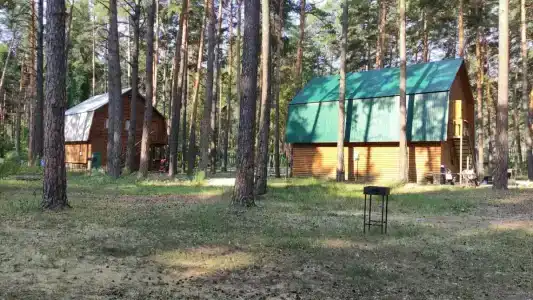 Сосновый бор - 68