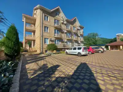 Розовый Дельфин - 0