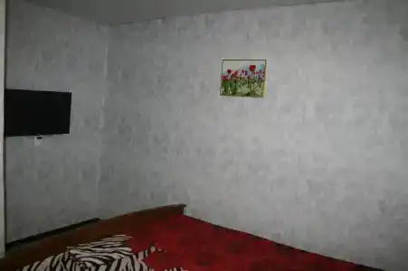 Hostel na Vatutina - 8
