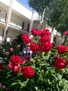 Солнечный - 16