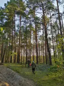 Четыре сезона - 13