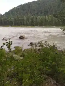 Усадьба Флора - 3