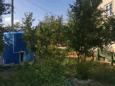 Амир - 11