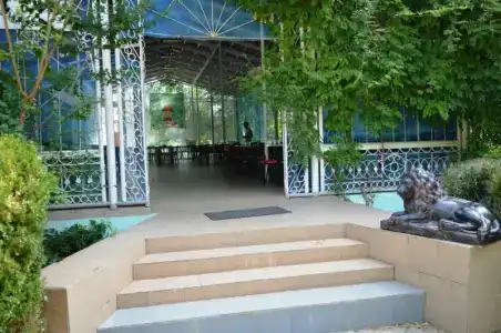Кипарис - 25