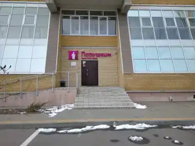 Подушкин - 8