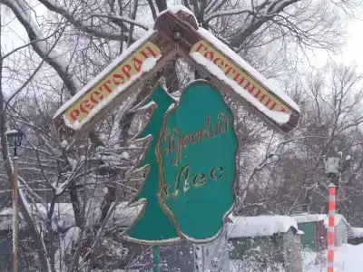 Русский Лес - 27