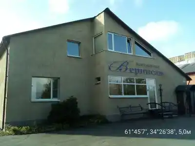 Вернисаж - 20