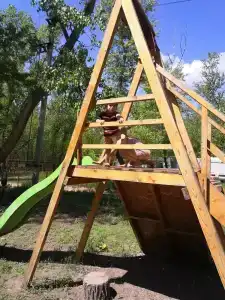 Лес и Рыба - 11