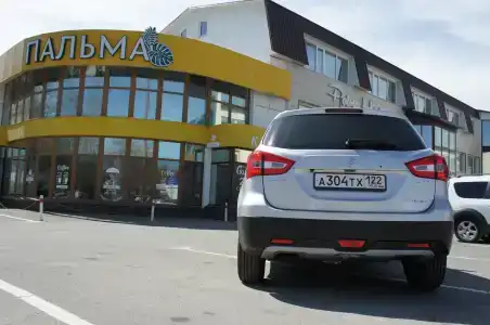 Пальма - 0
