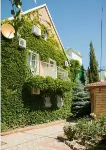 У Людмилы - 2