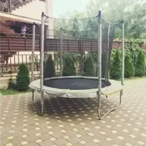 Каштан - 38