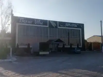 Белые Ивы - 43