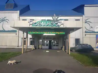 Робинзон - 18