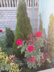 Вилла Николаевка - 5