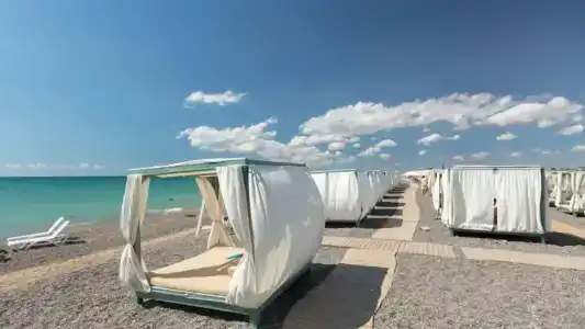 Директорская - 0