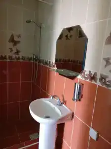 Белый Хорват - 37